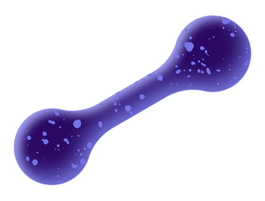 Illustration of engineered heart tissue (EHT)