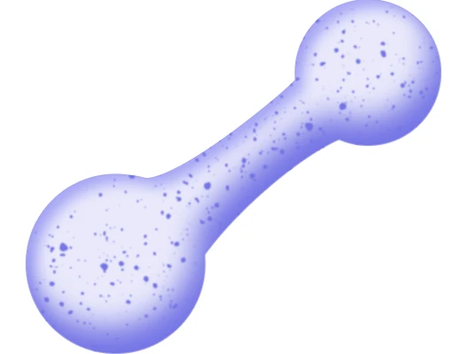 Illustration of engineered heart tissue (EHT)